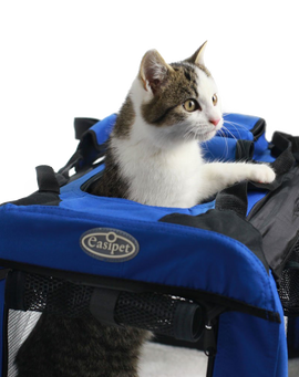 Easipet Fabric Pet Carrier